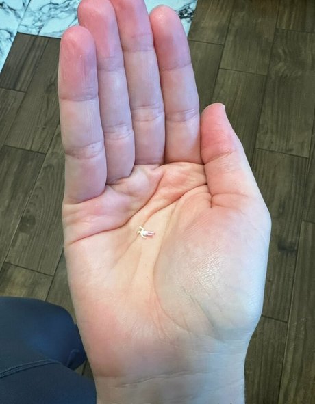 giantesstara 高品質モデル ギャラリー