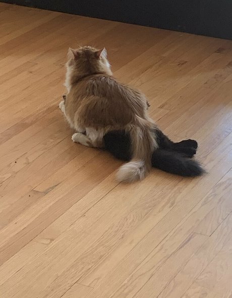 cutiekatw エロティックモデル ギャラリー