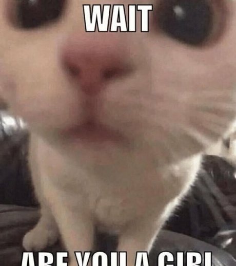 巨乳義母OnlyFans 無料xxx 写真