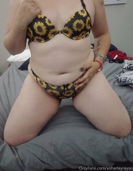 xoharleyrayxo xxxスター 写真