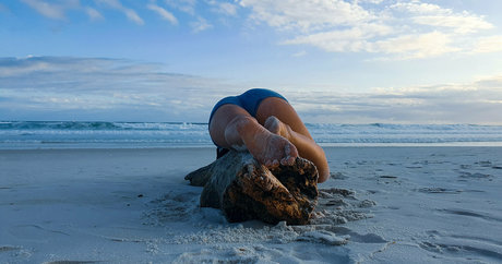 家族限定ファン 無料アダルト 写真