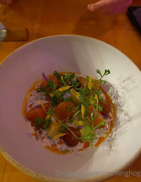 roaminghog エロティックなポルノスター 写真