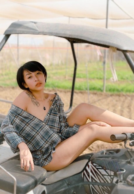 Maimaiwhyder ヌードスター 画像