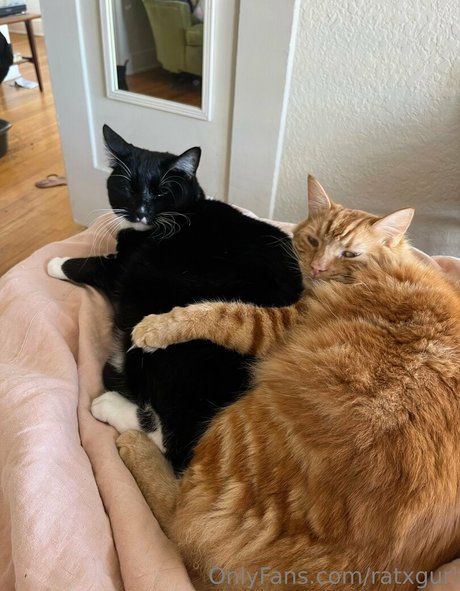 アニメプリンセスOnlyFans 美しいポルノ 画像