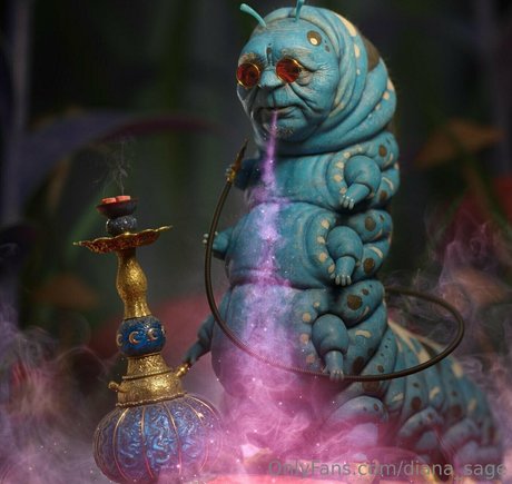 教師限定ファン ヌード 写真