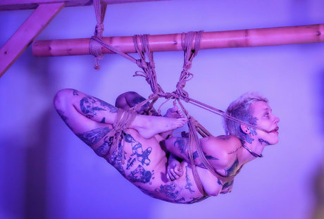 アラブのティーンズオンリーファンズ 無料セックス 画像