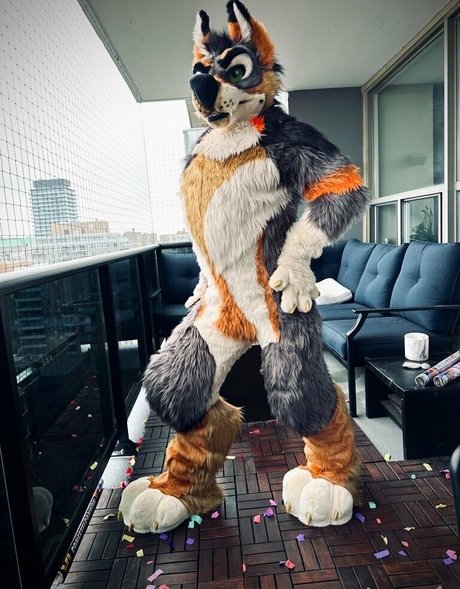 anejo xxx kaii ポルノスター 写真