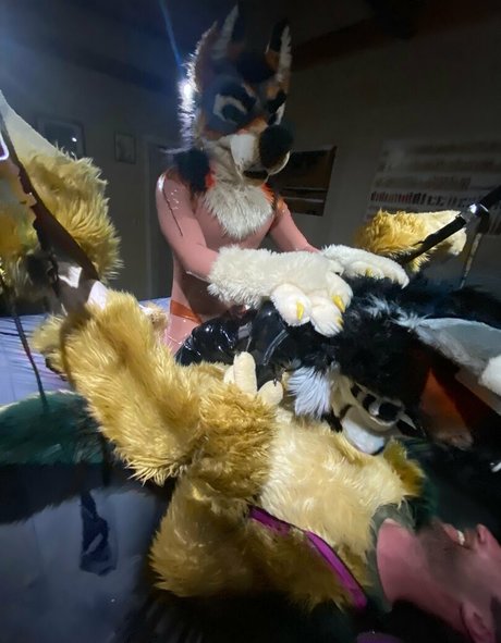 anejo xxx kaii 独占モデル ギャラリー