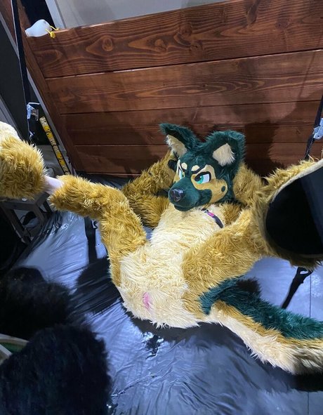 anejo xxx kaii 完璧なモデル 画像