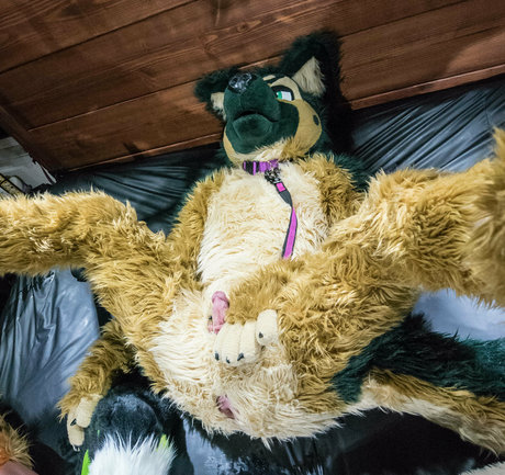 anejo xxx kaii ポルノスター セクシー 写真