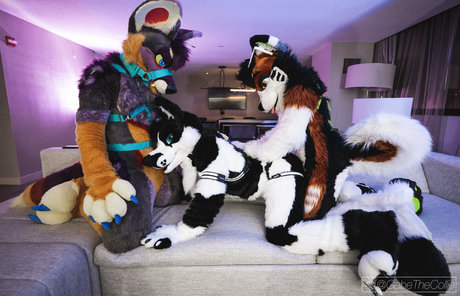 anejo xxx kaii 完璧な女優 写真