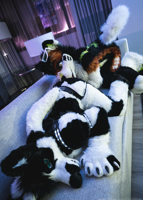 anejo xxx kaii 美しいスター アーカイブ