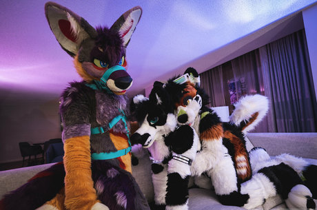 anejo xxx kaii 無料女優 写真