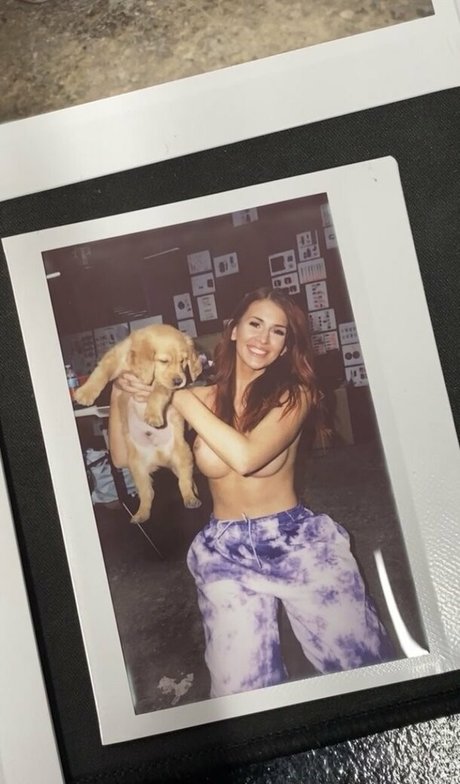 Molliipop HDスター 写真