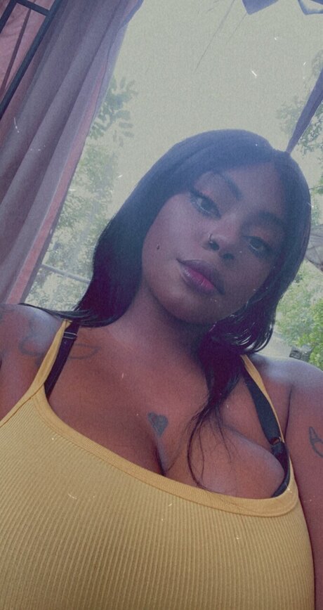 不明なファン ベスト ギャラリー