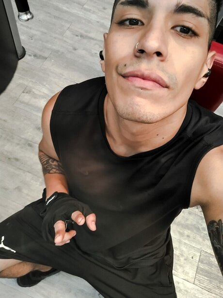 Sexy Milo_ 美しいスター 写真