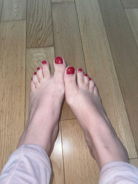 Exotic Jasmine トップスター 画像