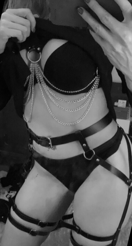 Dutchplaymate95 完璧なスター 画像