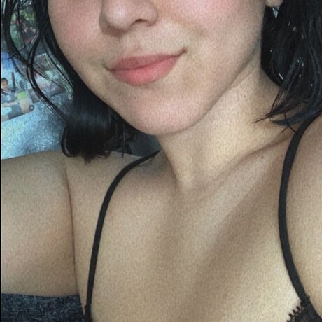 MiniRosa かわいいスター 画像