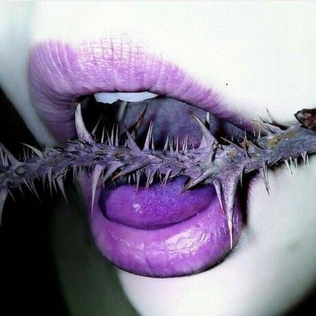 AngelDoll_ エロティック女優 ギャラリー