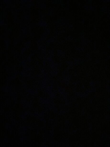 realblondie 完璧なスター アーカイブ