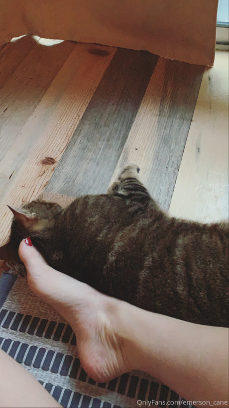 スキニーアナルOnlyFans ヌード ギャラリー