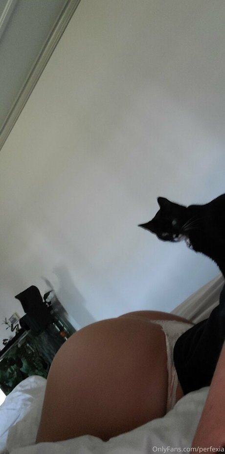 バブルバットオンリーファン セックス 写真