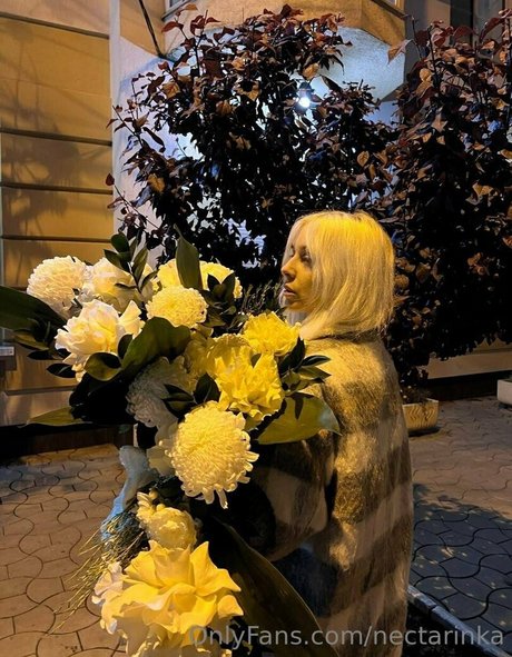 Angelika ヌードのポルノスター 写真