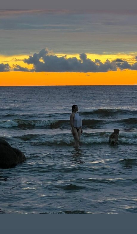 ブラジルの猫オンリーファンズ 可愛い 写真