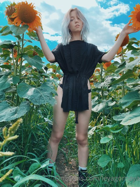 アナルファックOnlyFans ホットポルノ 写真