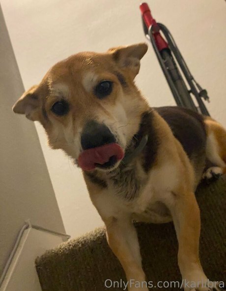 ブラックマジックオンリーファンズ アダルト無料 写真