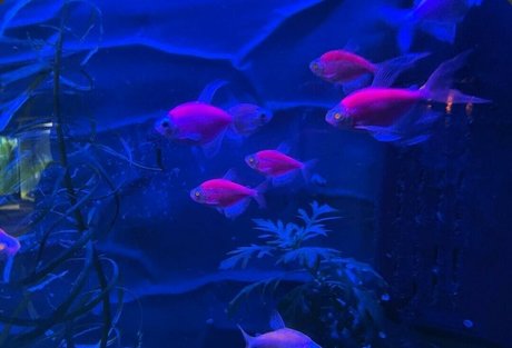 クソなオンリーファンズ 裸 写真