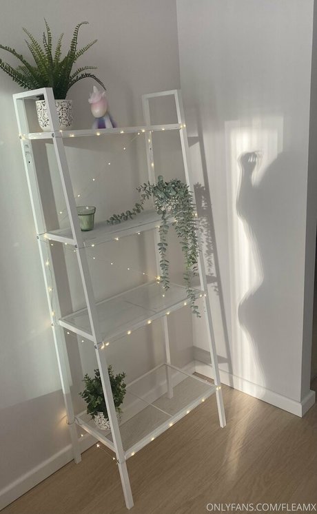 fleamx 完璧なモデル ギャラリー