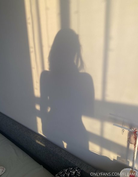 fleamx 最高のポルノスター 写真