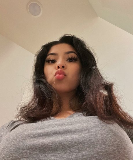 dayzevana HDモデル 写真