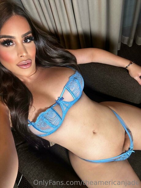 教師限定ファン HD 写真