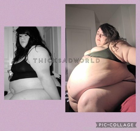 thicksadworld 素敵なスター 写真