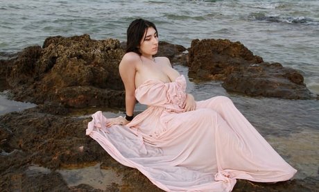 Doania 素敵なスター 画像