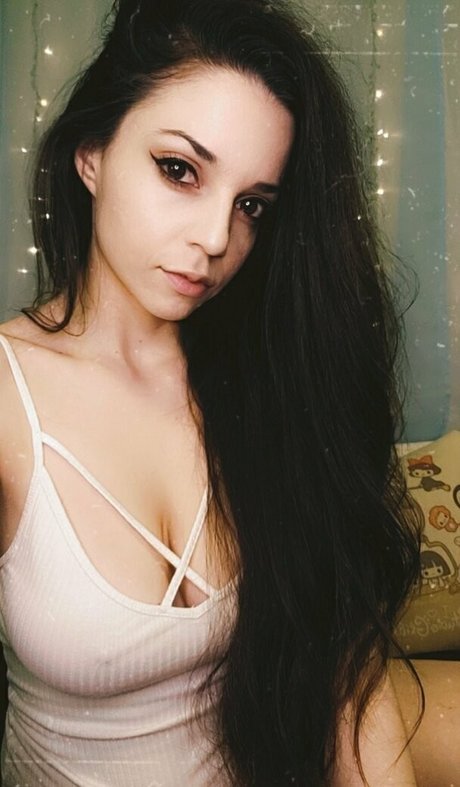 Kit katterson 限定モデル 写真