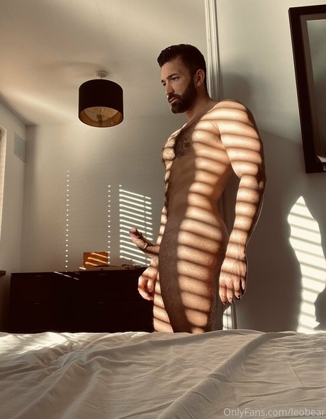 leobear 素敵なスター 写真