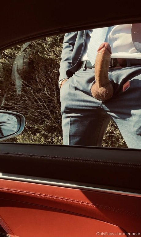 leobear HDスター 写真