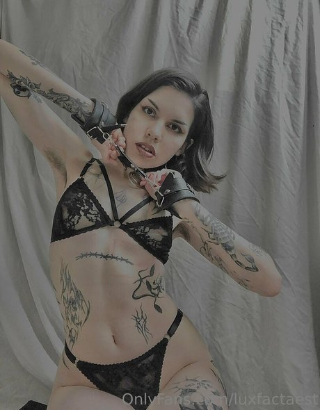 ブッシュ・オンリーファンズ アートヌード ギャラリー