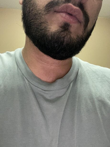 C H F M 高品質スター 写真