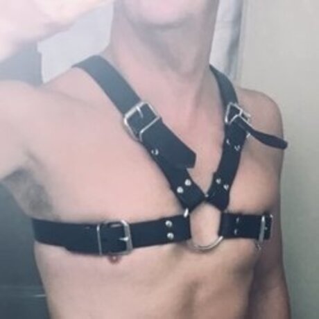 Pup Declan ポルノスター セックス 写真