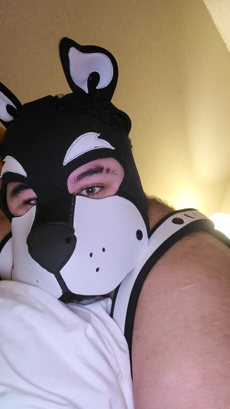 Ezra Johnson ポルノ女優 写真