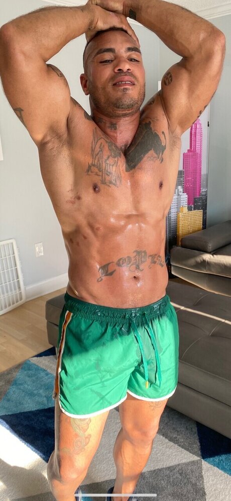 GSXRRyder 最高のスター アーカイブ