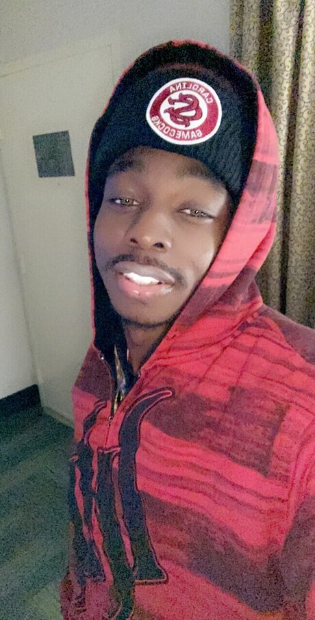 Marcoo ポルノモデル ギャラリー