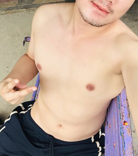 Pitar44 アートモデル 画像