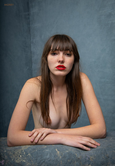 Lizzie Gunst 限定スター アーカイブ