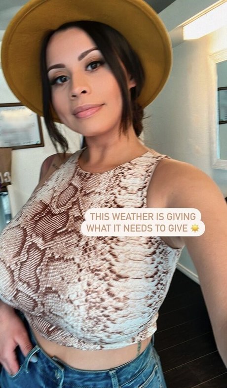 教師限定ファン HD 画像